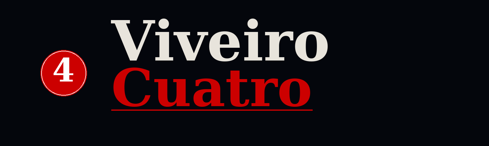 Taxi 4 Viveiro